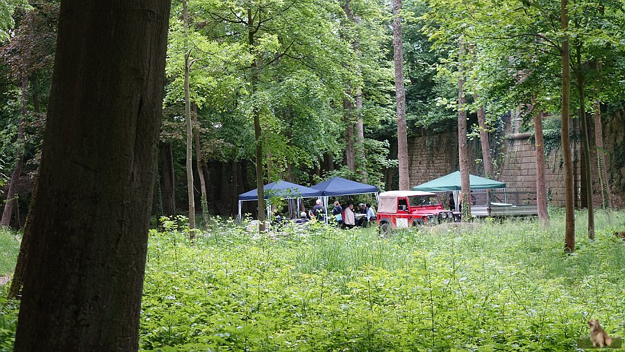 Mittagspause am Nußdorfer Tor